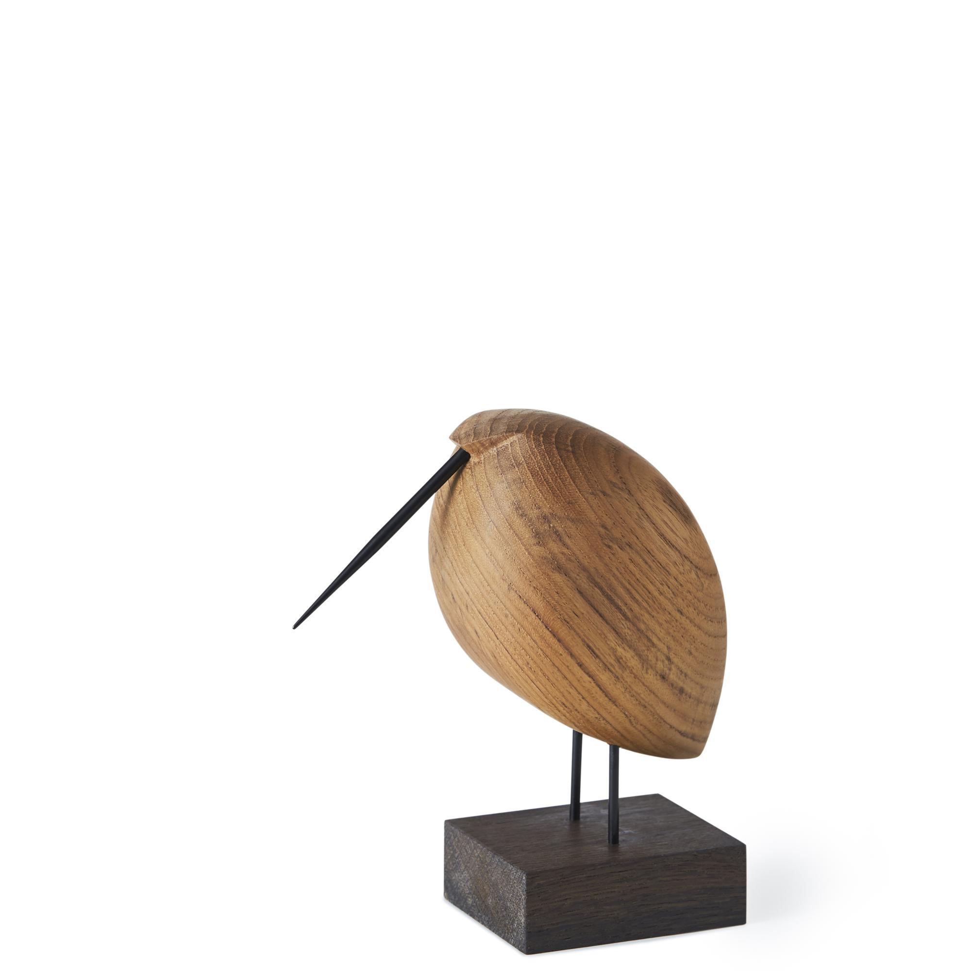 Warm Nordic Beak Bird Lazy Snipe Teck