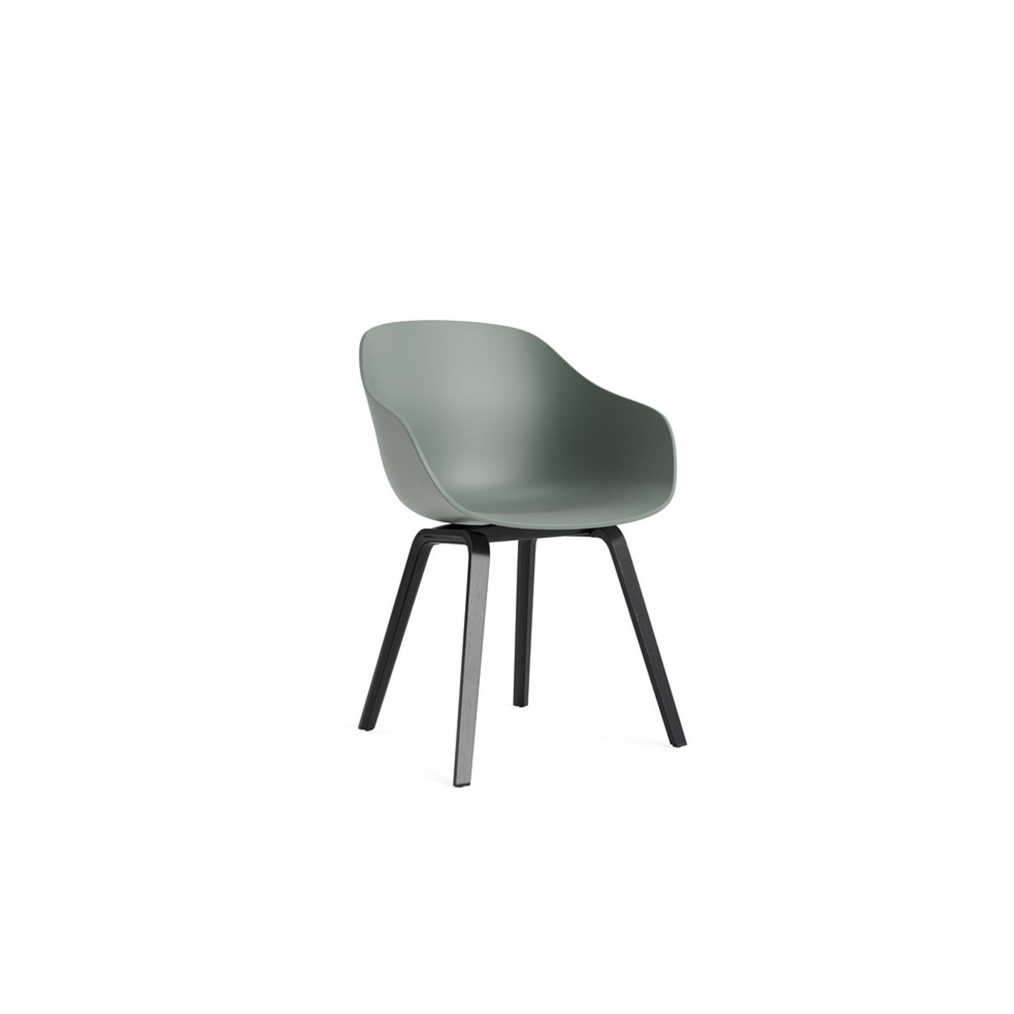 HAY AAC222 Dining Chair Black/Fall Green