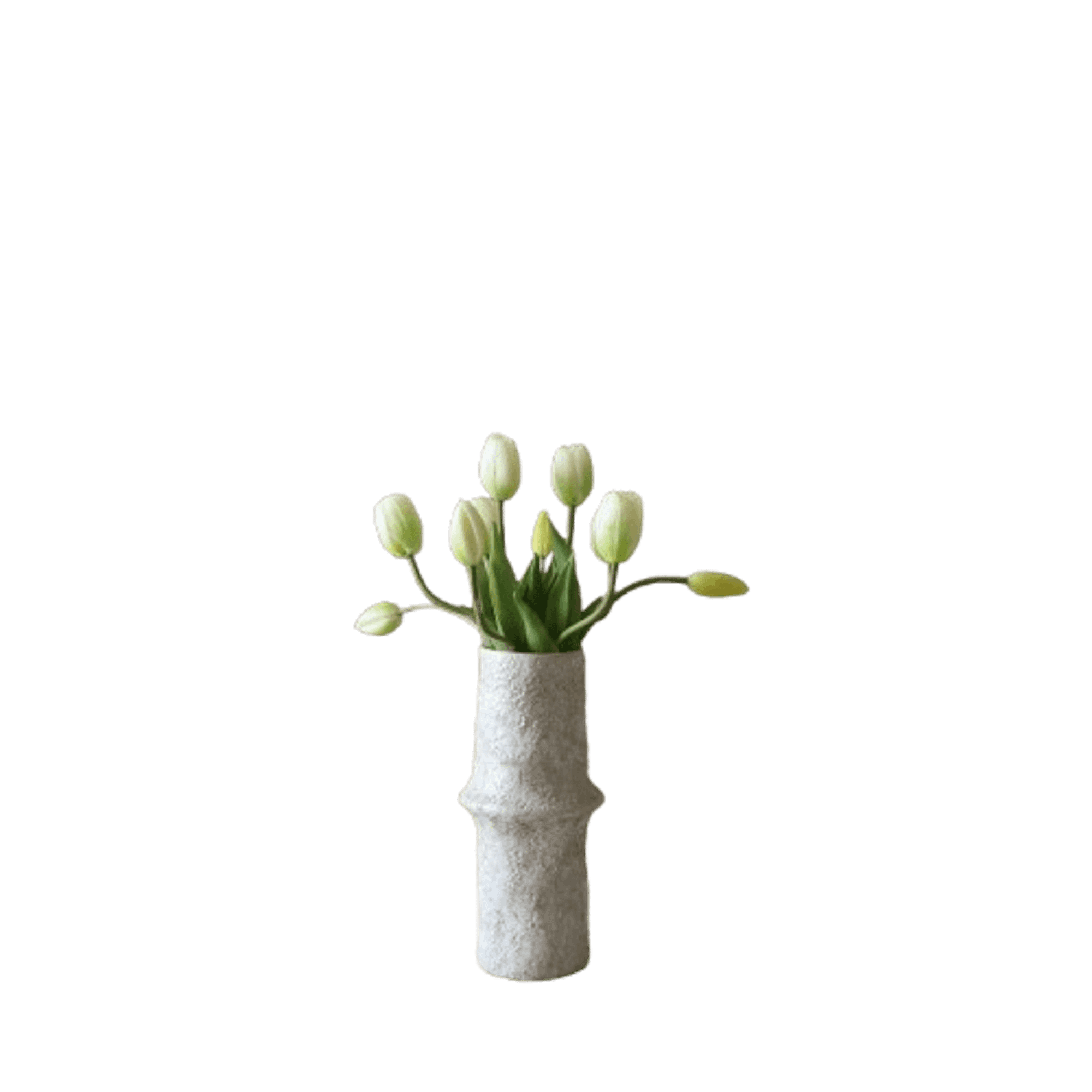Botané Tulip Buket Hvid