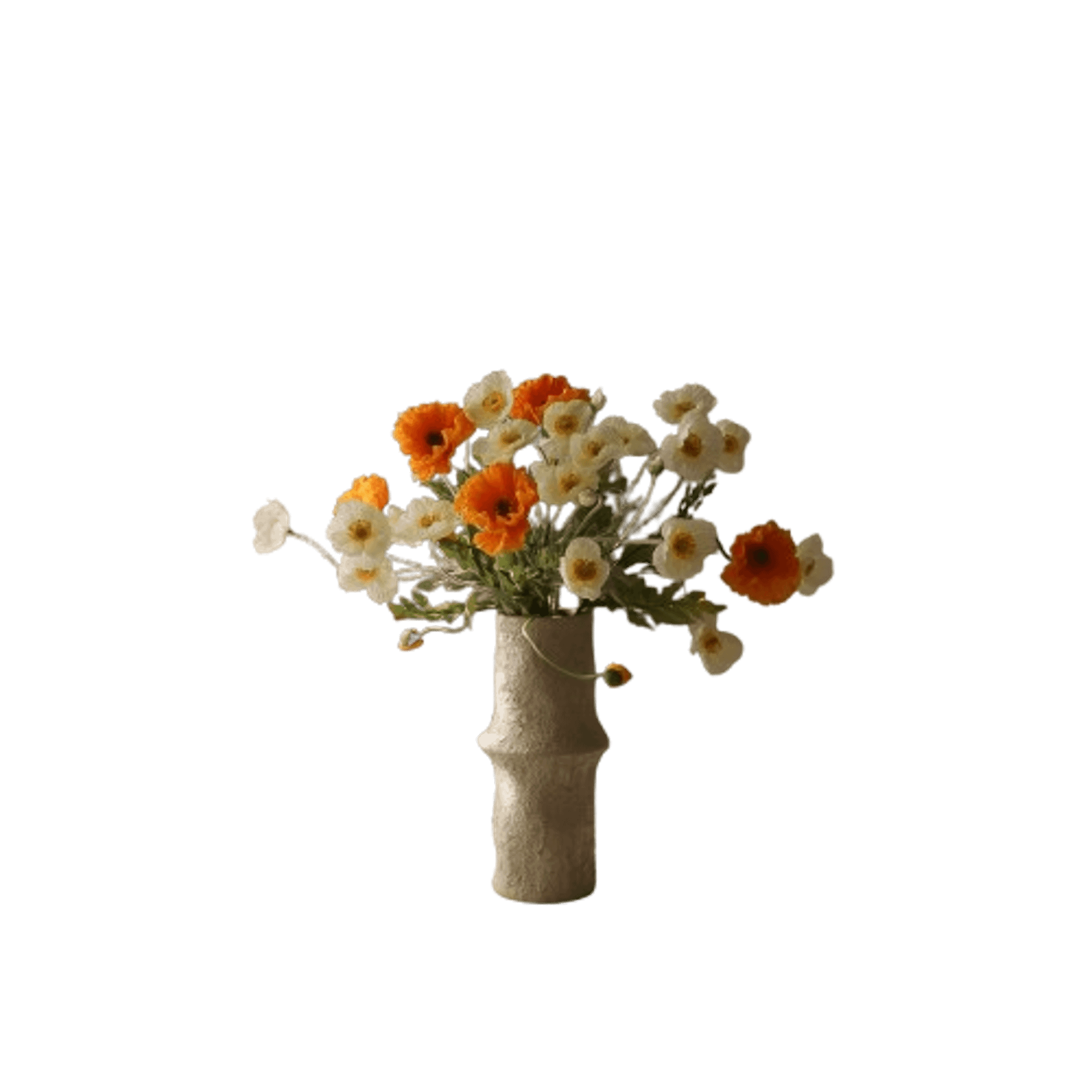 Botané Päivänvalokimppu Valkoinen