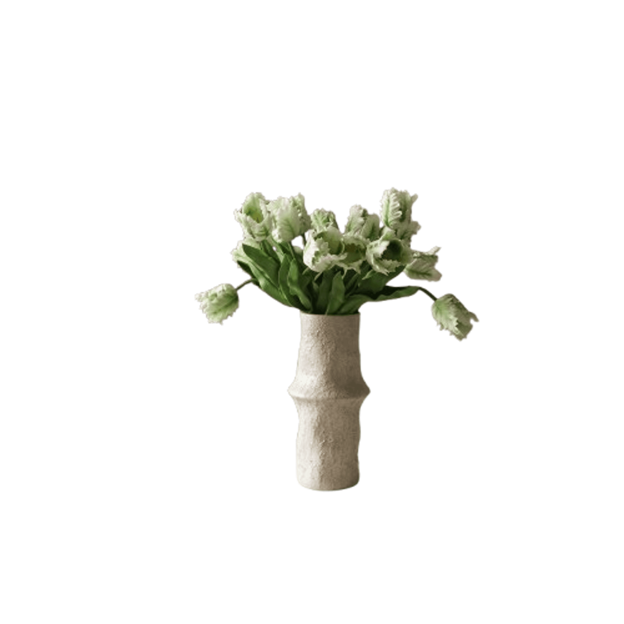 Botané Piccolo Bouquet di Tulipani Pappagallo Bianco