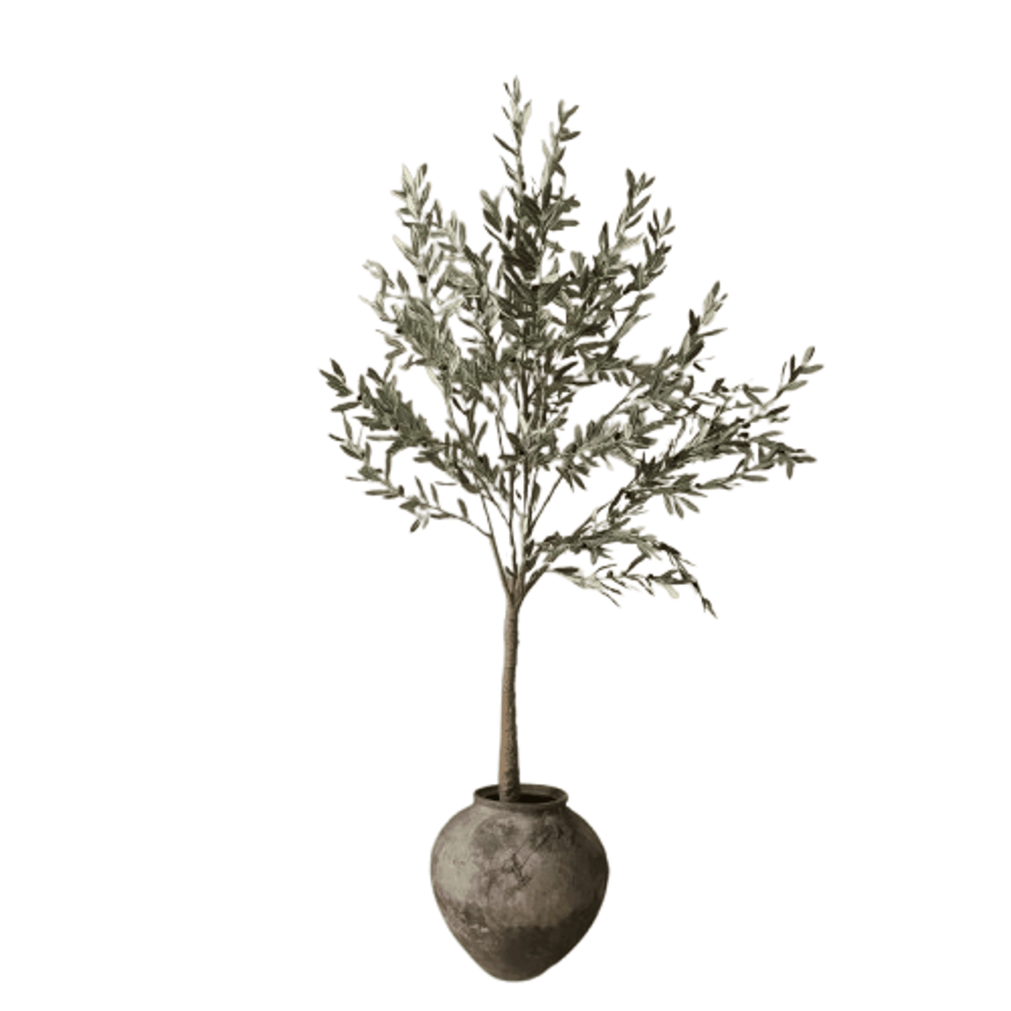Botané Olive Wood Green