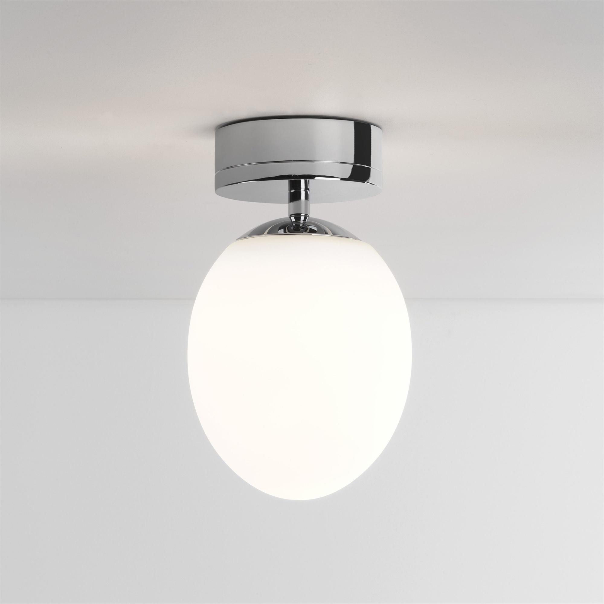 Astro Kiwi Ceiling Silver