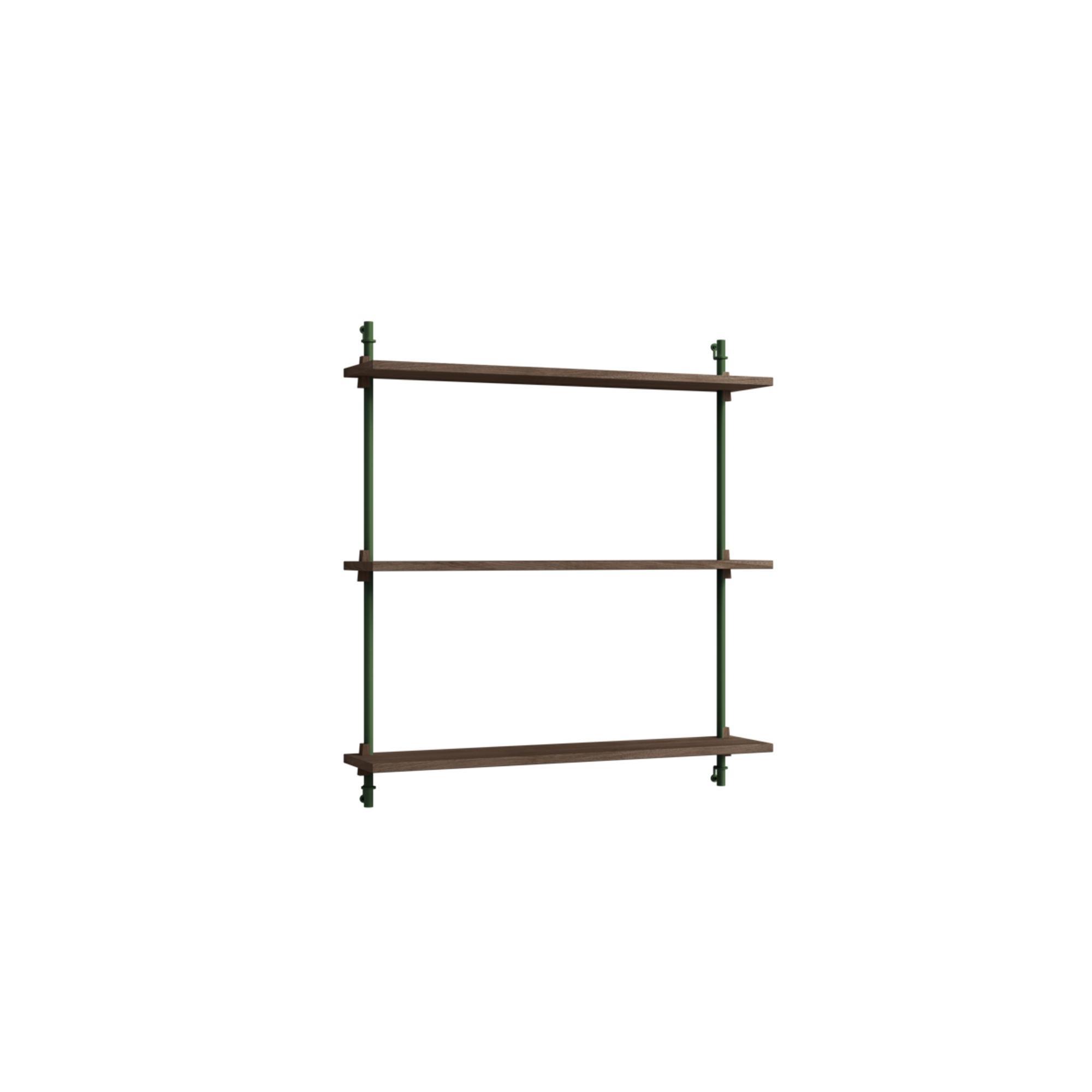 Estante de pared estándar Moebe Roble ahumado/Verde pino