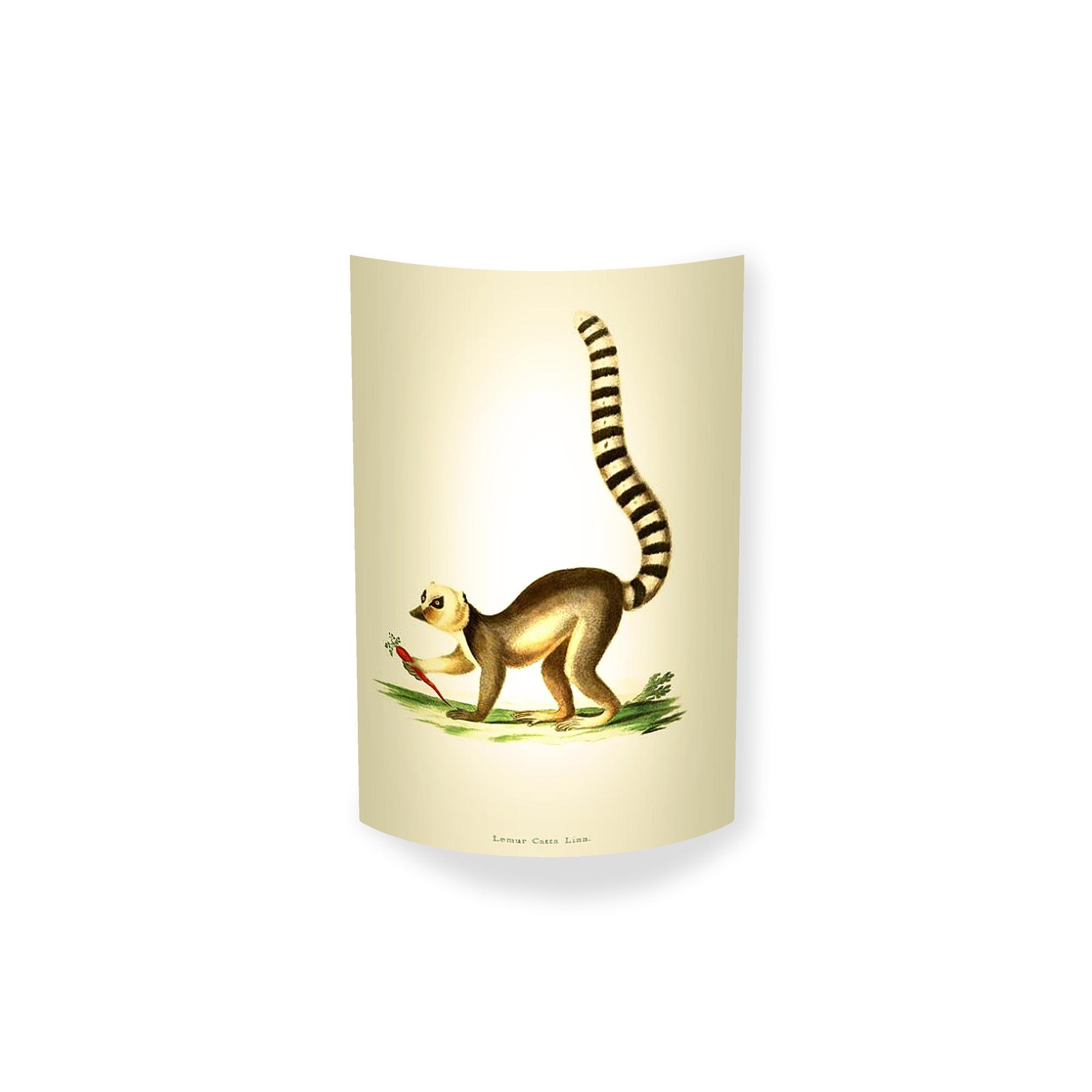 MagicoClaudio Moments Væglampe Lemur