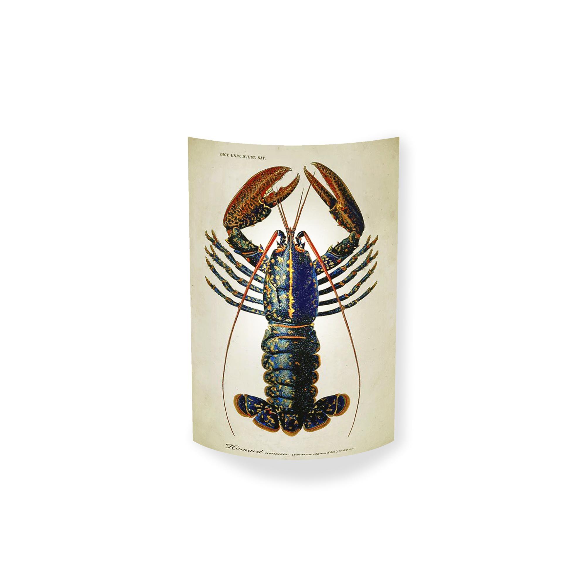MagicoClaudio Moments Wandlampe Hummer