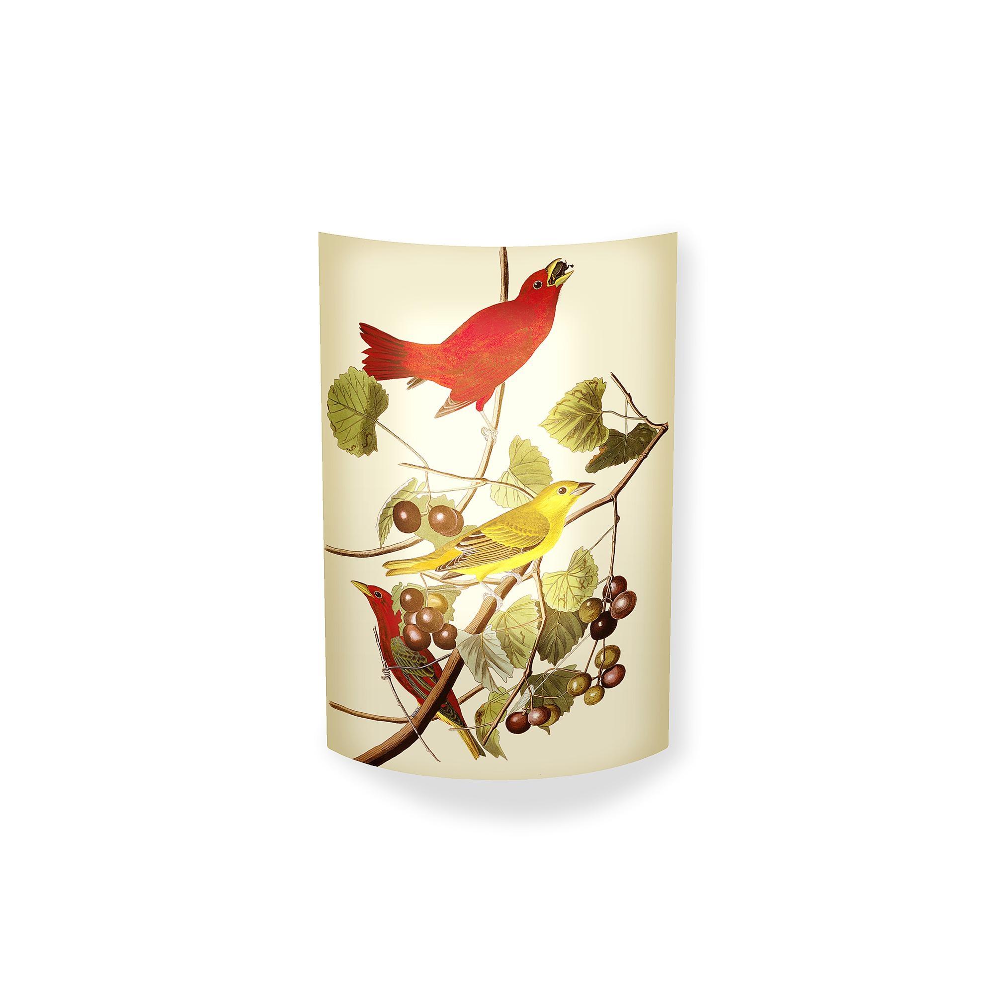 MagicoClaudio Moments Wandlampe Amerikanischer Singvogel