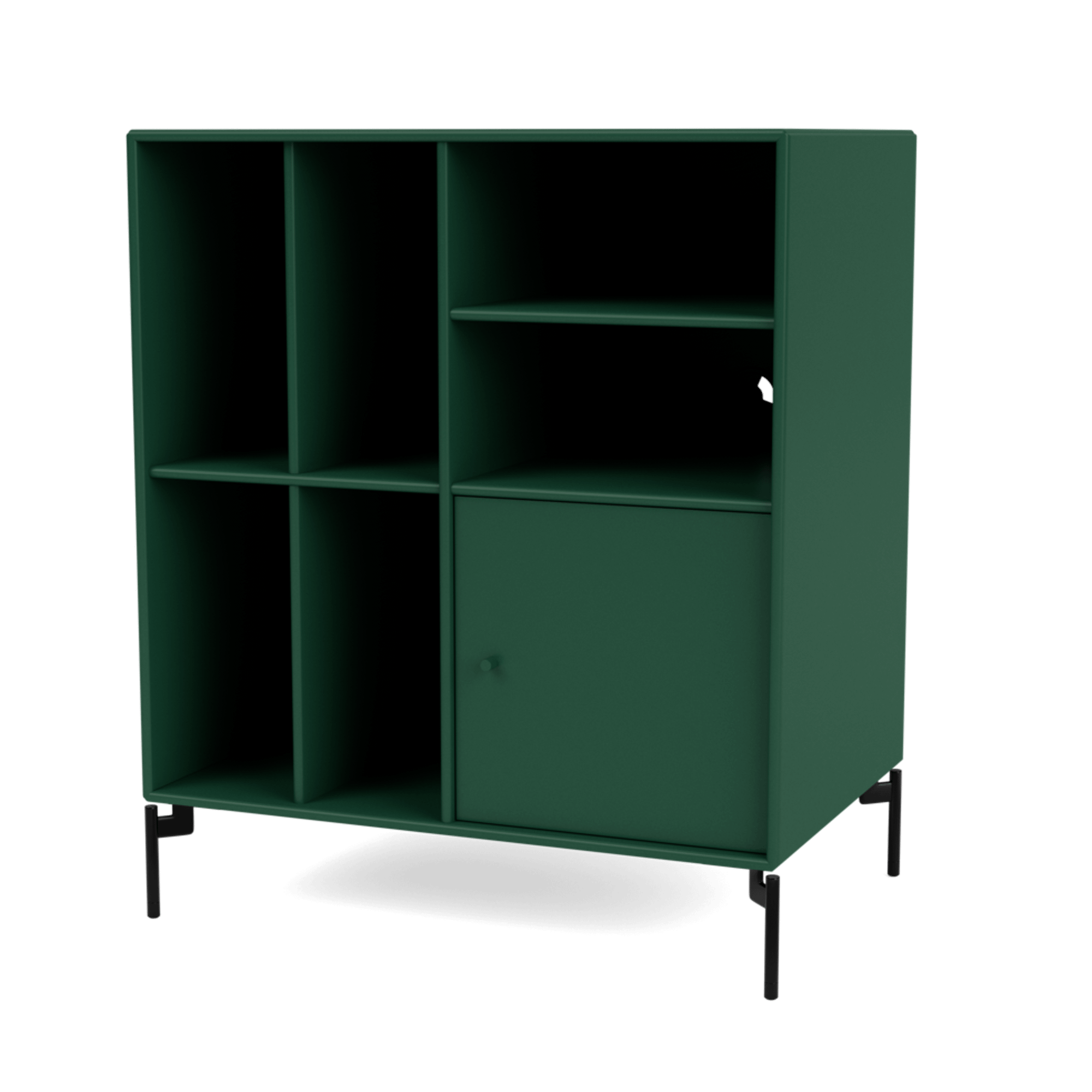 Montana SPIN II Vinyl Bookcase 136-Pine/03- Black