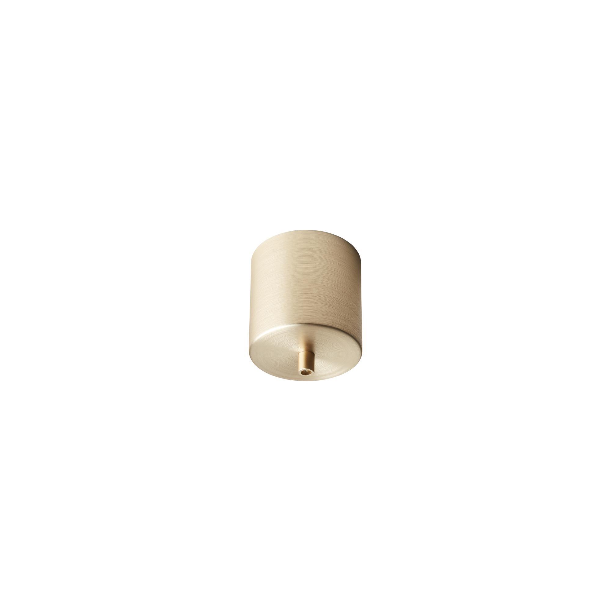 Nuura Ceiling Cup Brass