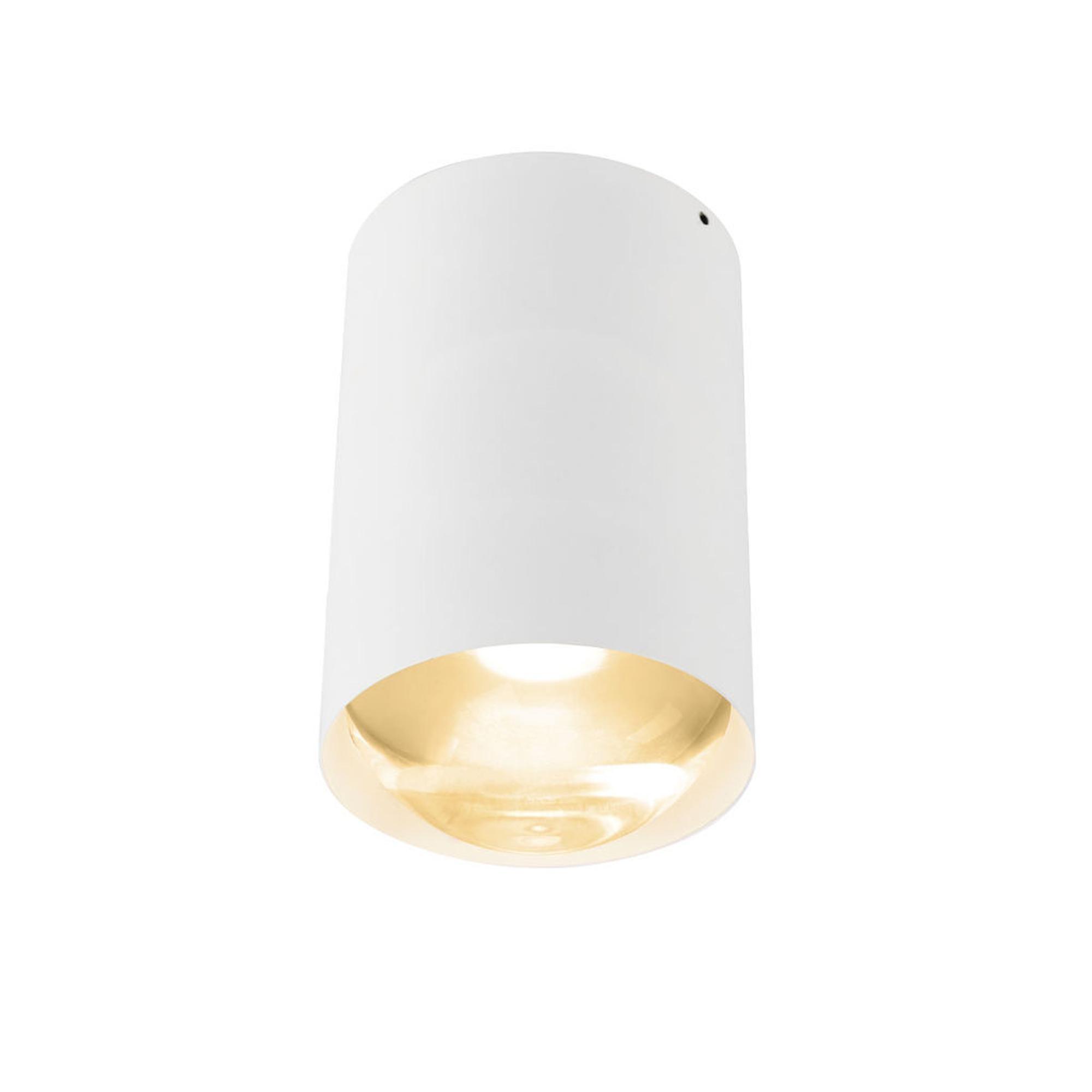 Trizo 21 Bily 16 Up Spot White/ Gold