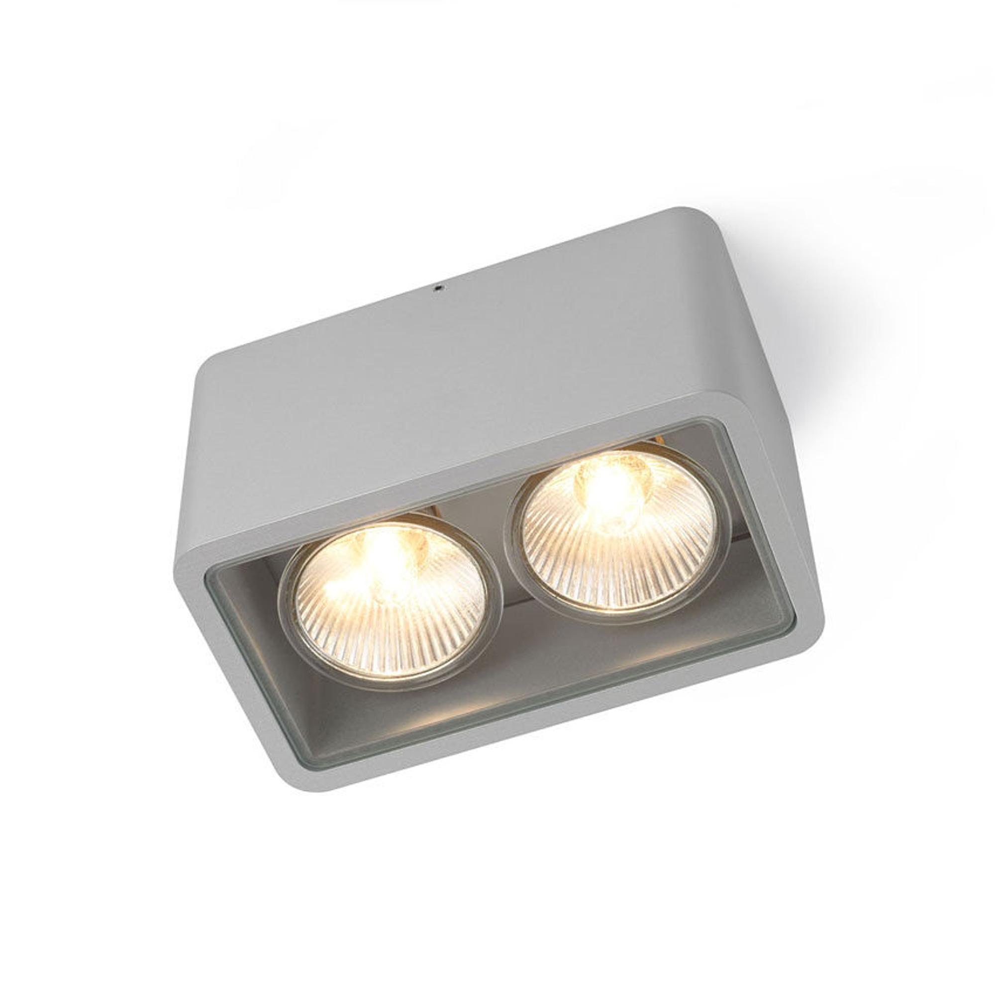 Trizo 21 Code 2 Buitenlamp Geanodiseerd