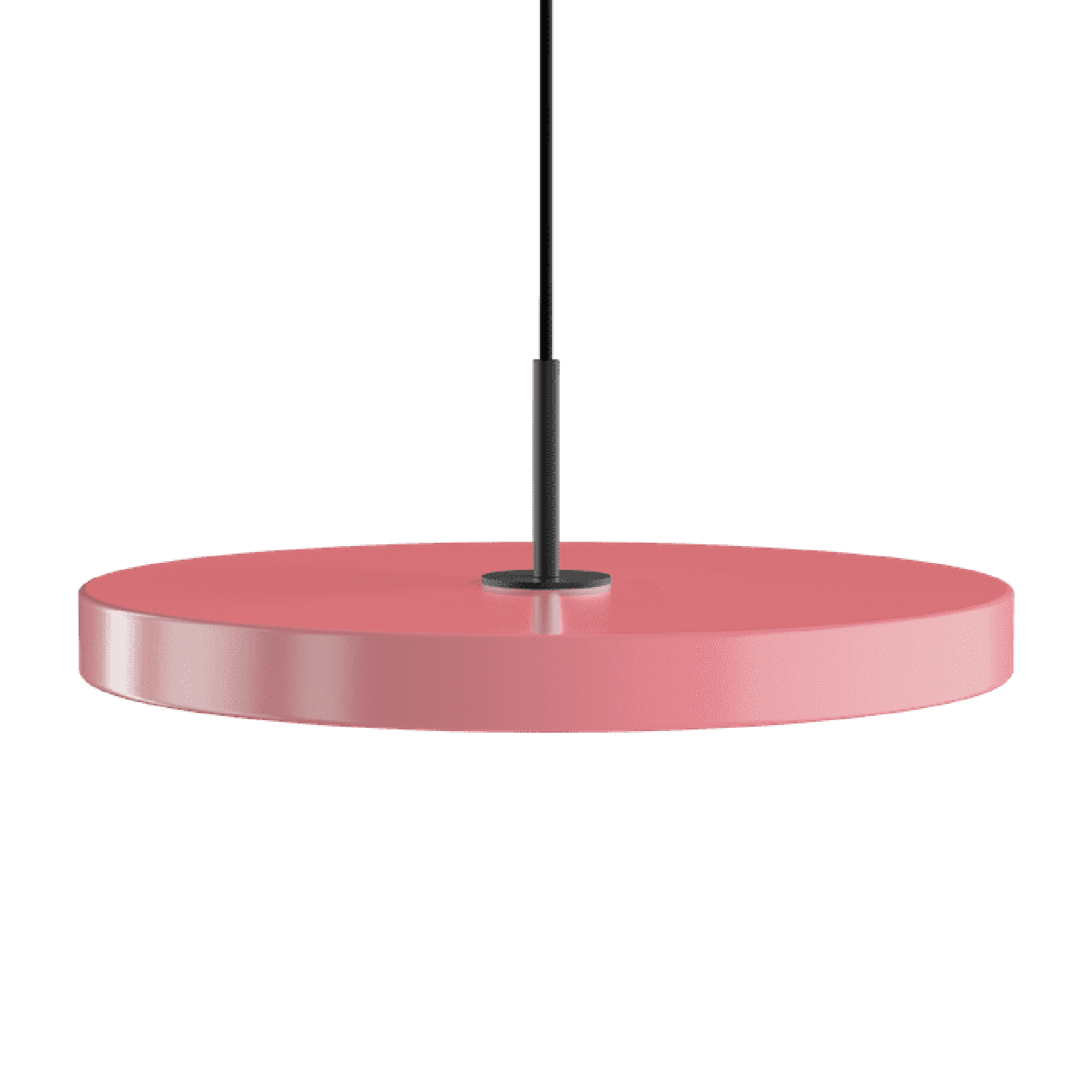 Umage Asteria Plus Medium Pendant Nuance Rose/Black